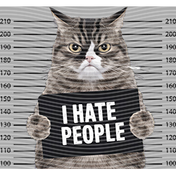 Animal Text Series-AT 3415